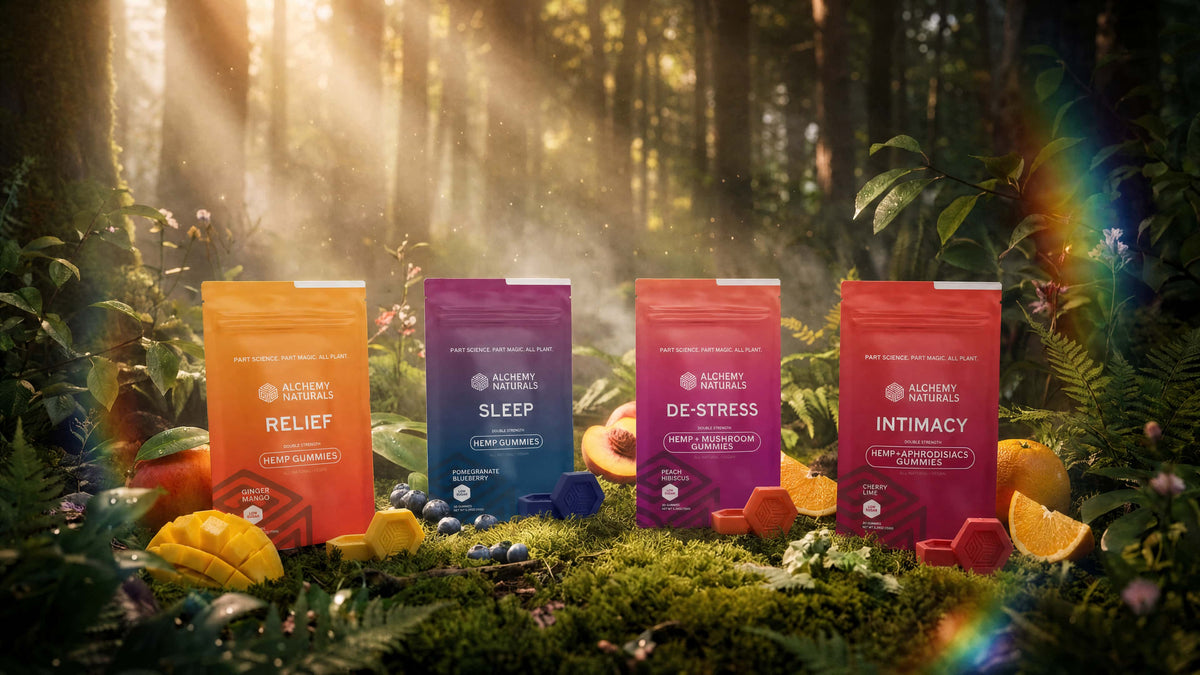 Alchemy Naturals hemp gummies in a forest setting